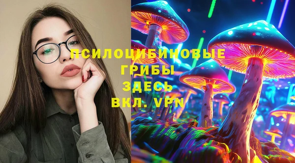 эйфоретик Алексин