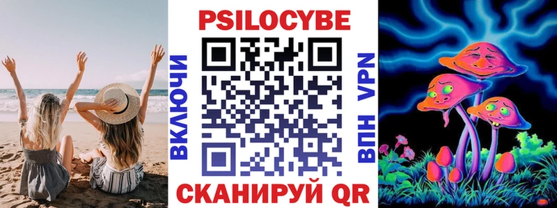 omg ссылка  Пикалёво  Псилоцибиновые грибы Cubensis  где купить наркотик 